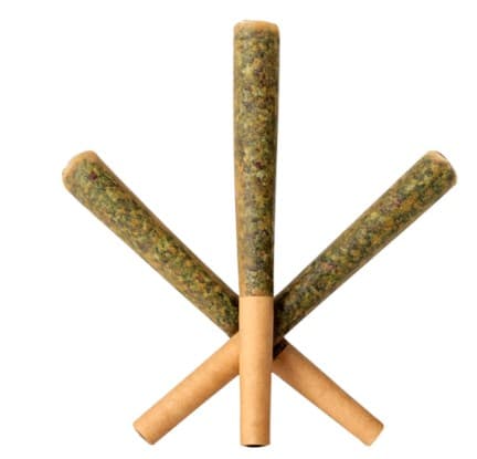 Infused Pre Roll 3x0.5g Champaya