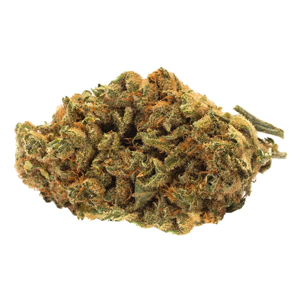 Indica