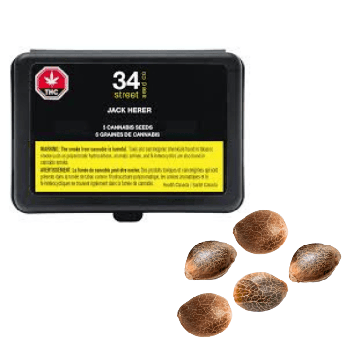 Jack Herer Seeds 5pk
