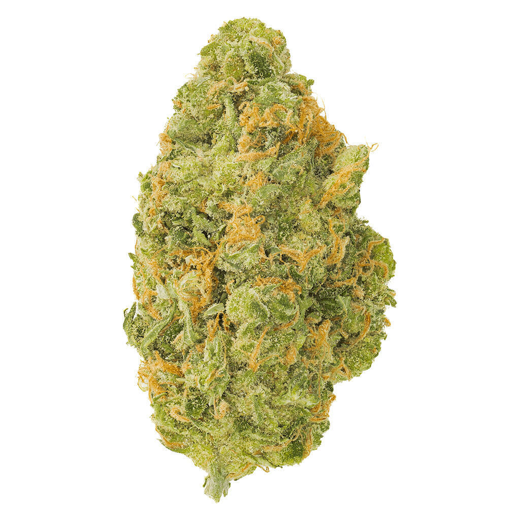 G13 Super Skunk 1.1% Terpenes