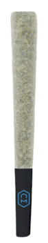 Cactus Breath