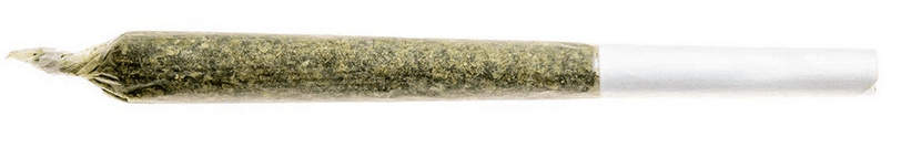 Grower Choice Sativa