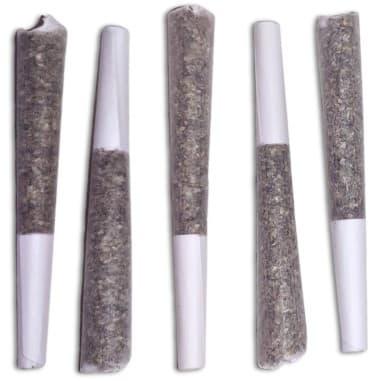 Tagalongz Pre Roll
