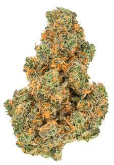 Pink Diesel