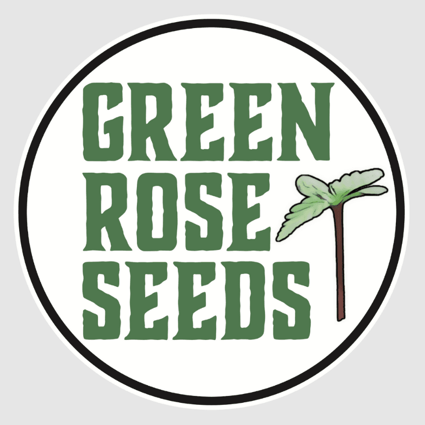 Rotational Autoflower Strain Ghosts 4pk