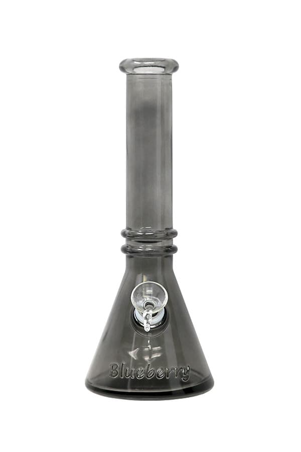 Blueberry Double Ring Glass Bong