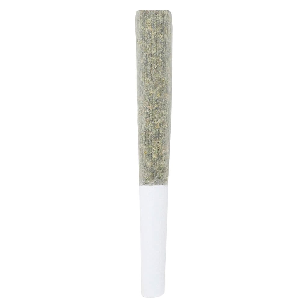 Cheese Pre Roll Sativa 7x0.5g