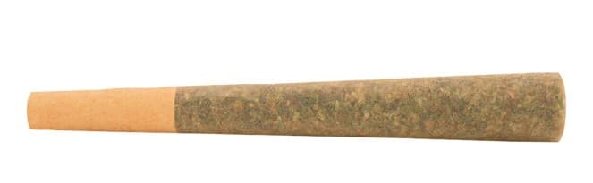 Cannabis Sacre Blue