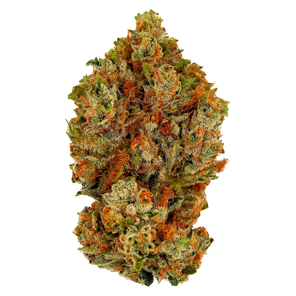 Kalifornia Indica