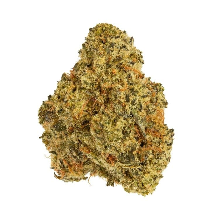 Strawberry Sensi Sativa
