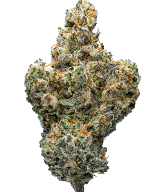 Fuzzy Peach Clear Bag