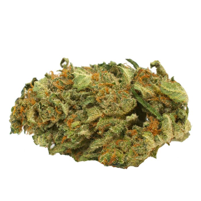 Jack Herer