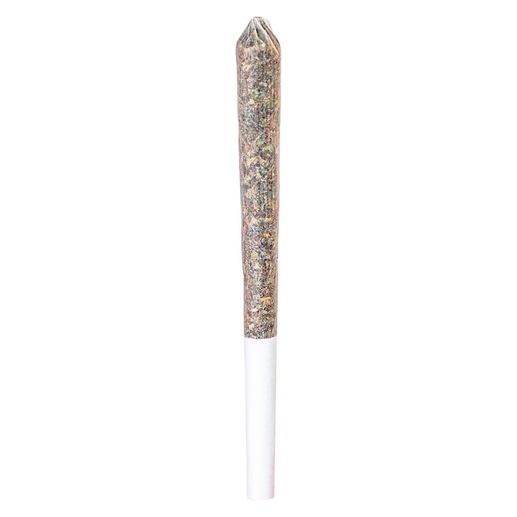 Trainwreck Pre Roll