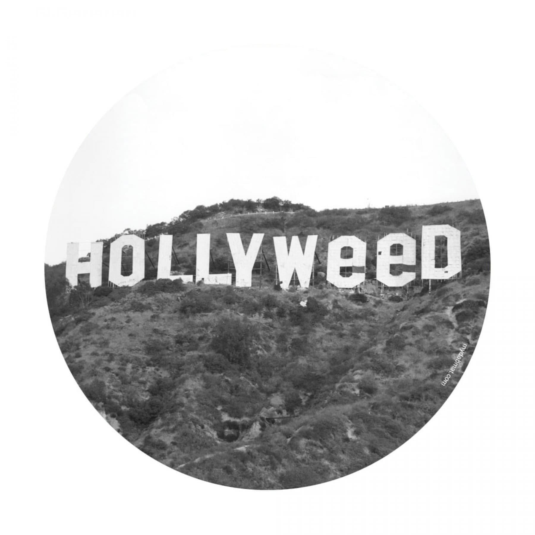 Silicone Glow In Dark Hollyweed
