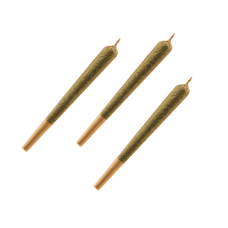 Berry Infused Pre Roll 3x0.5g