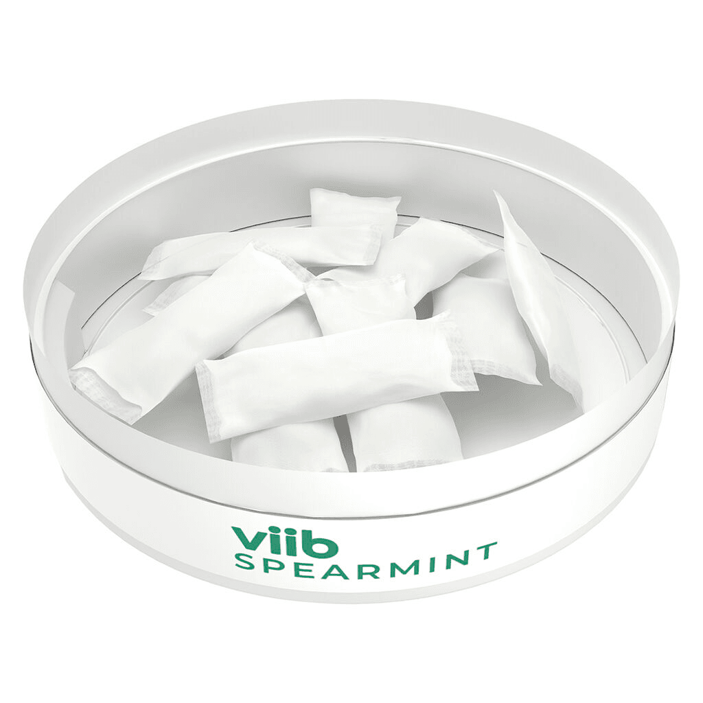 Viib Spearmint 4 :1 THC CBG Pouches 10pk