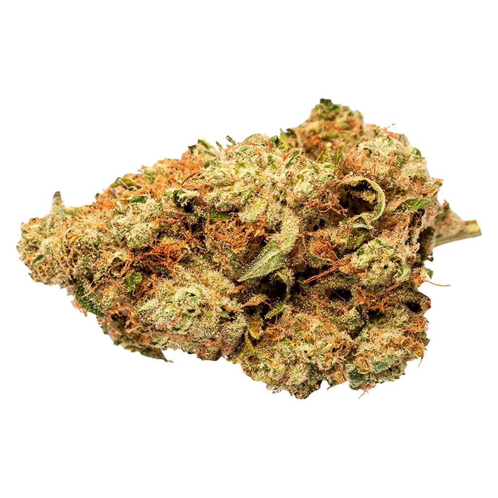 Indica Indica
