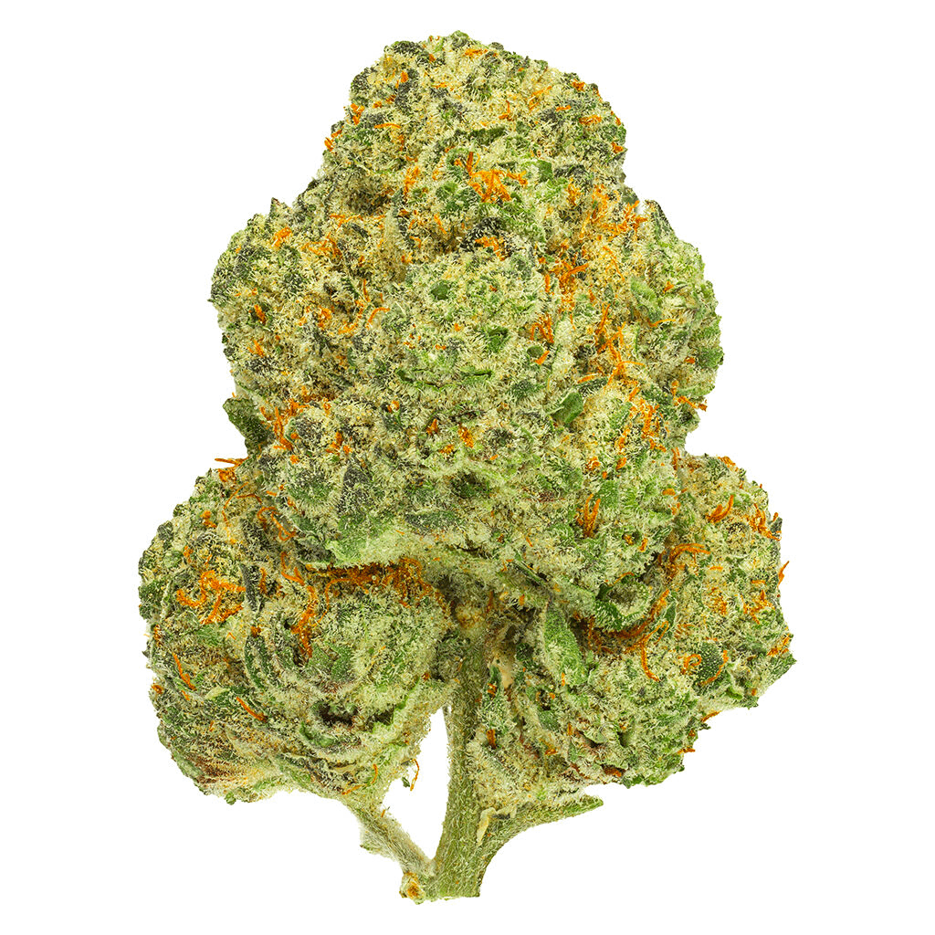 Chemango Kush