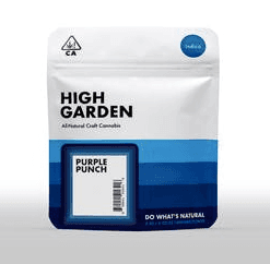 Purple Punch