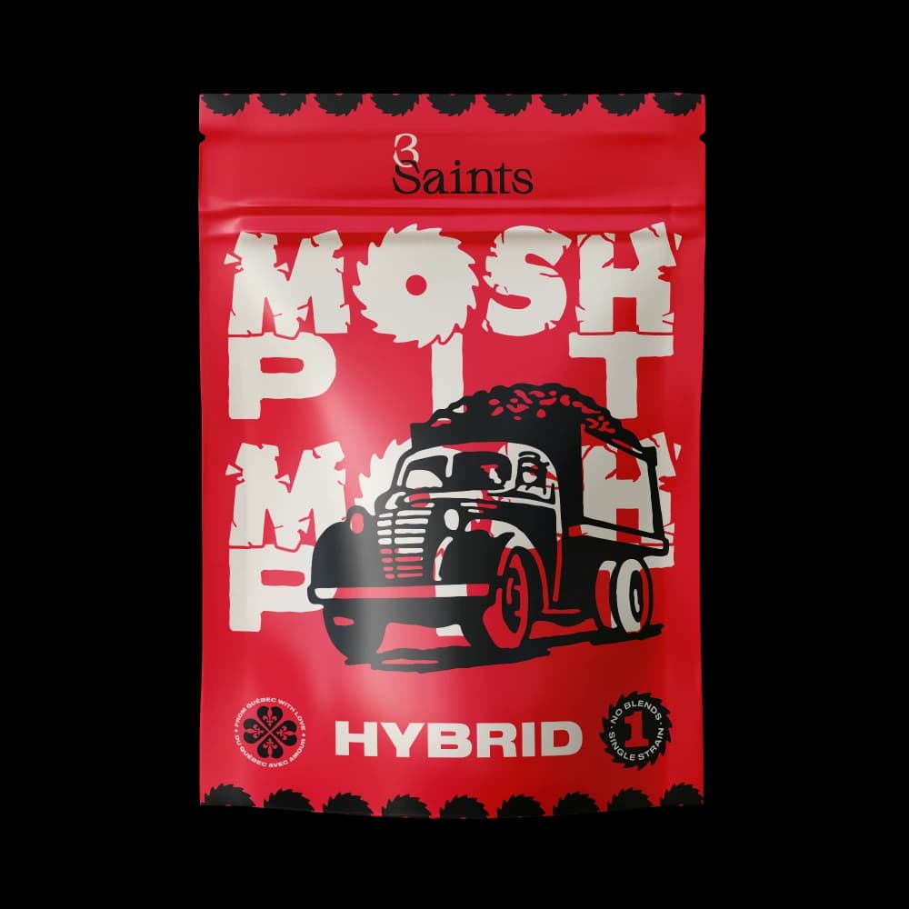 Mosh Pit