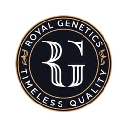 Royal Genetics logo