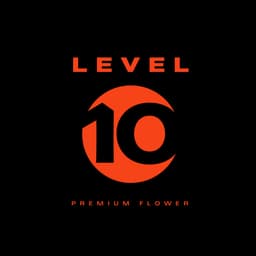 Level 10 logo