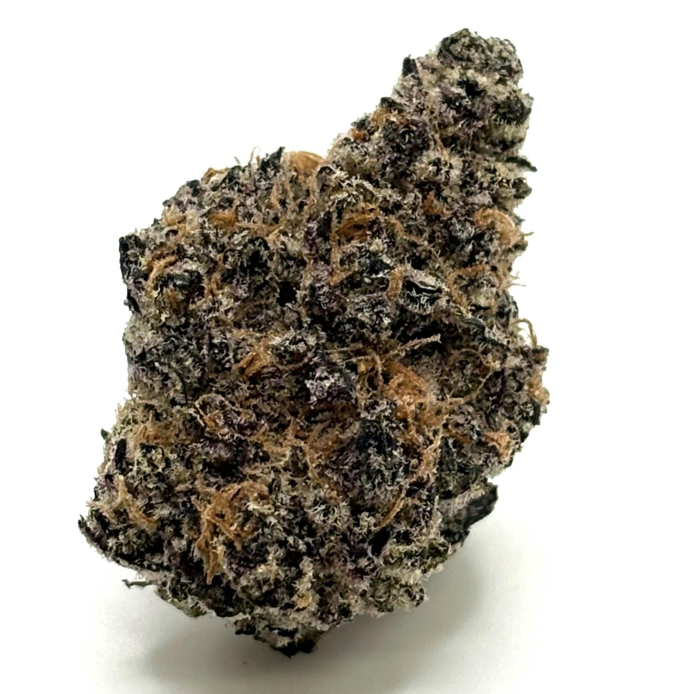 Garlic Gold Rush