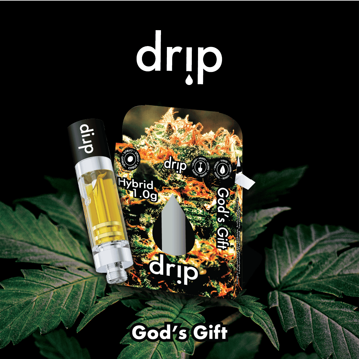 Cartridge God Gift Hybrid