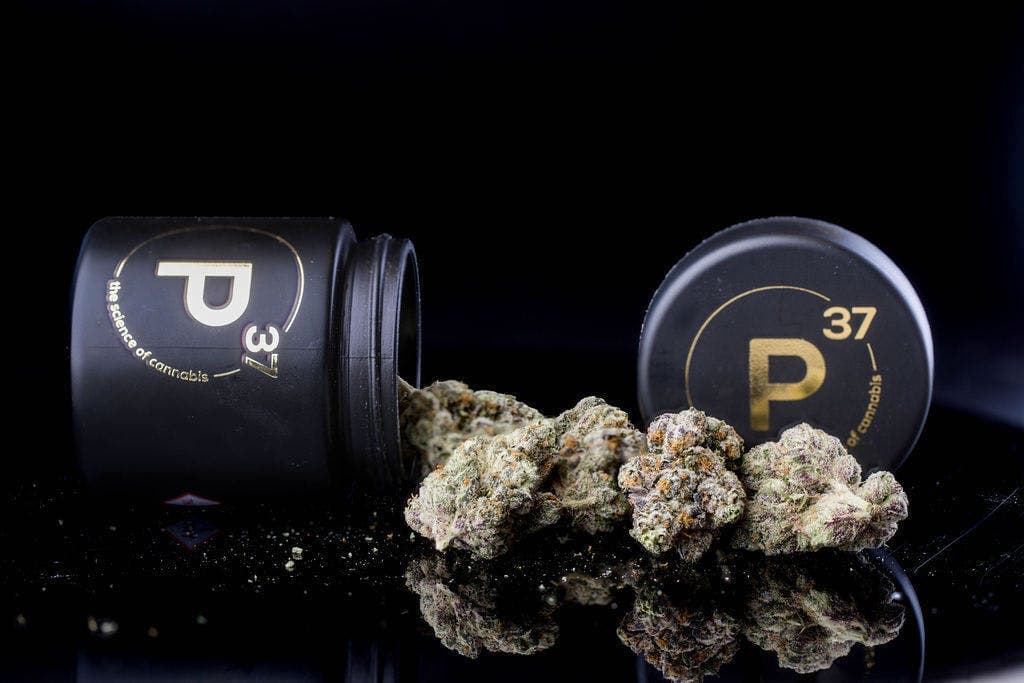 Bluntz Flower
