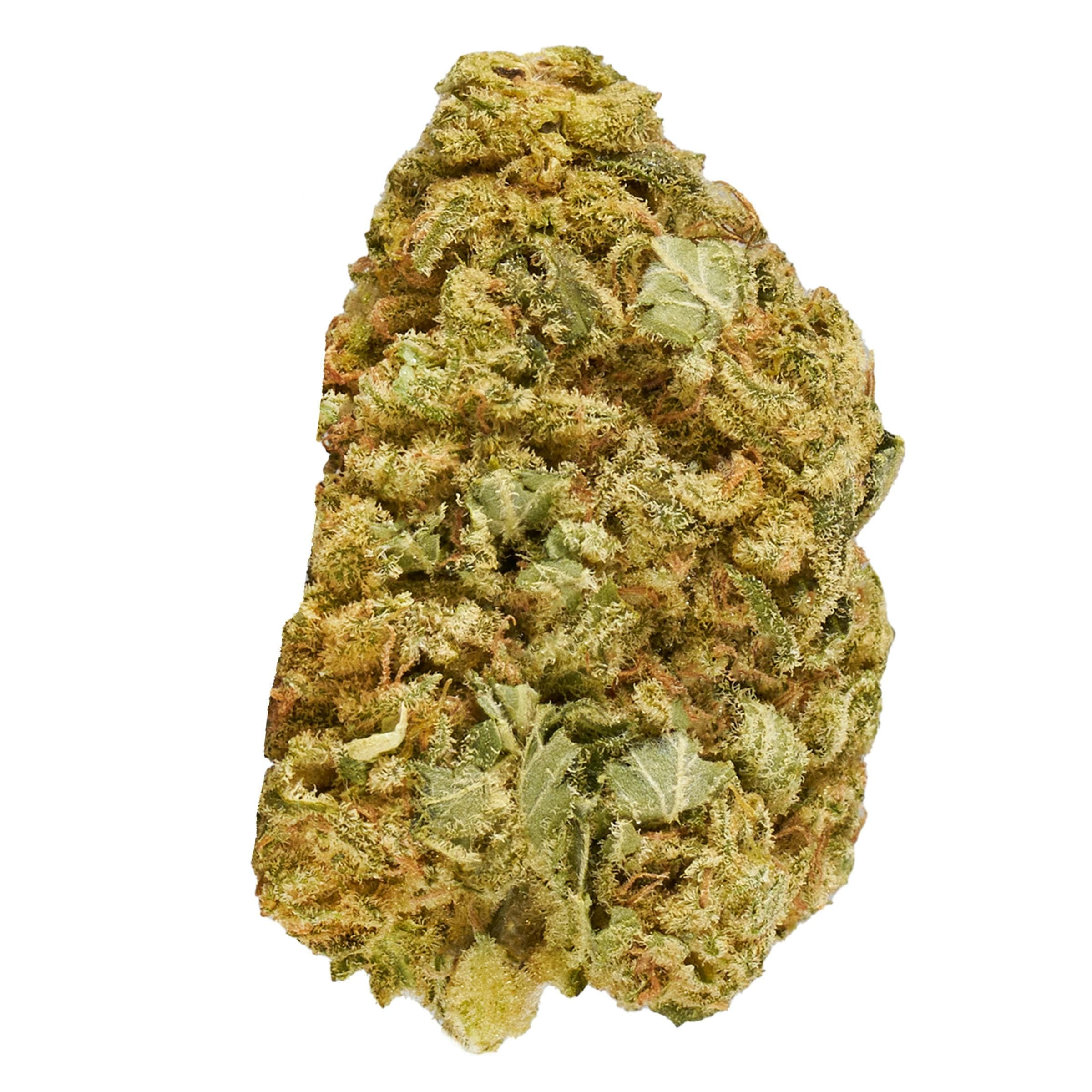 Master Mazar Kush