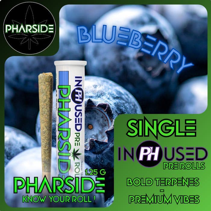 Infused Pre Roll Blueberry