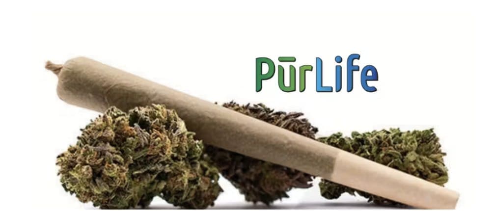 Zack’s Cake Pre Roll