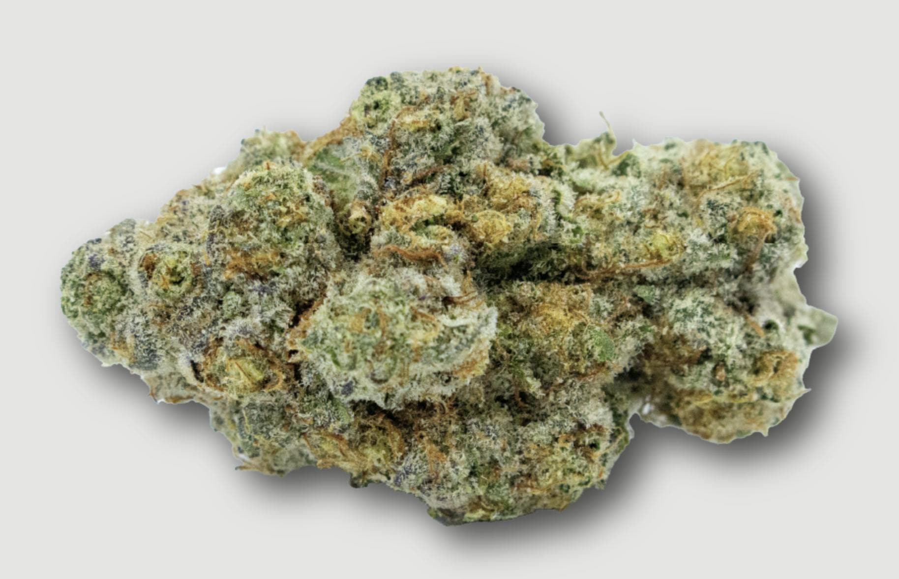 Gush Mints Flower