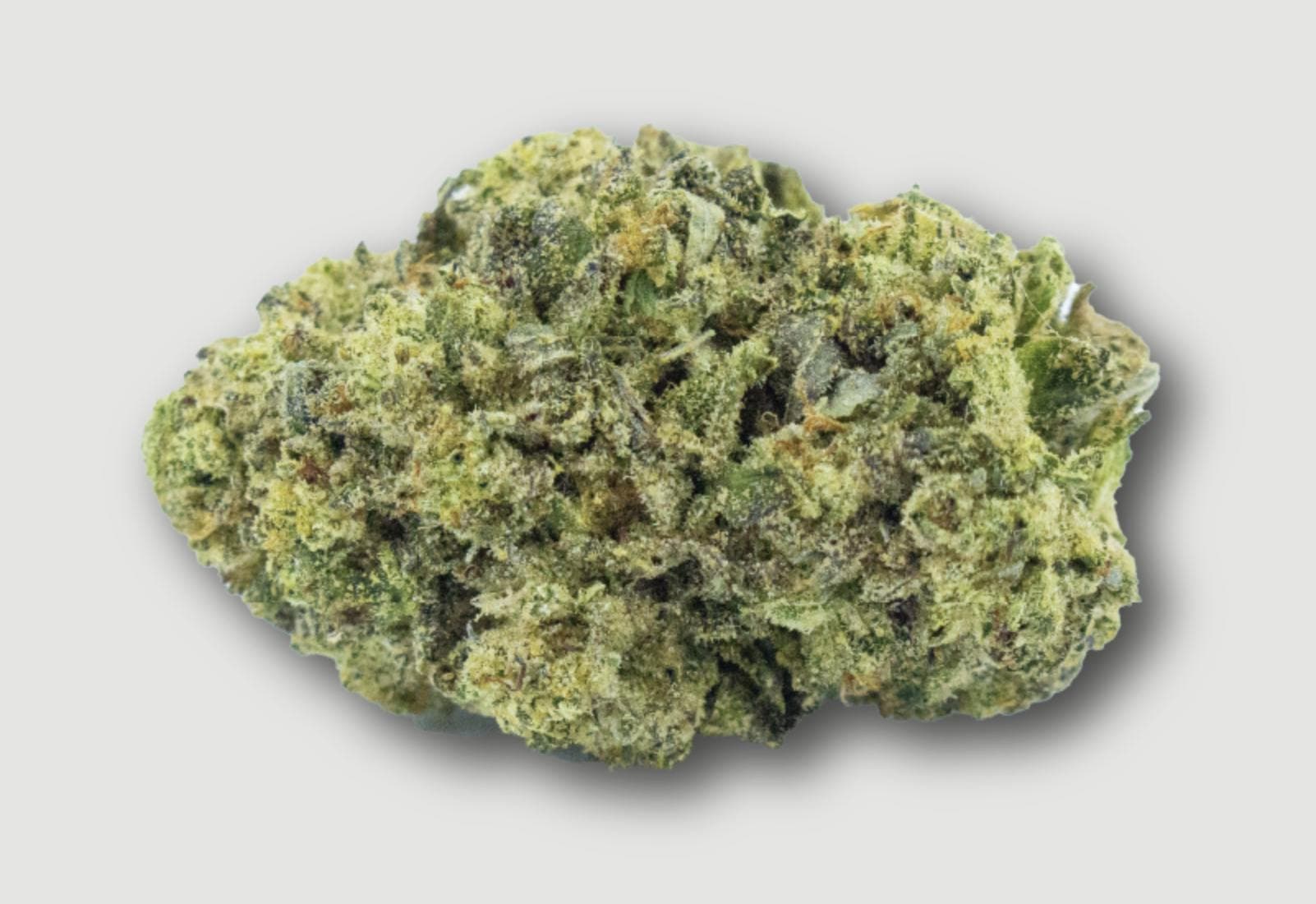 Franco Lemon Cheese Flower