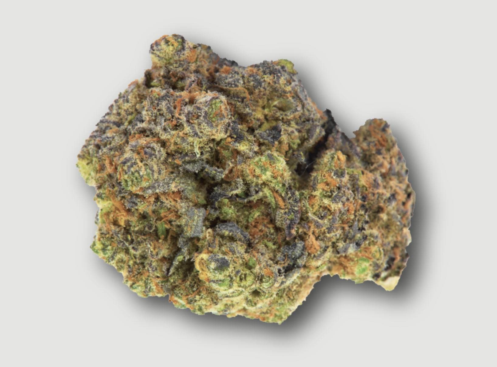 Cherry Animal Punch Flower