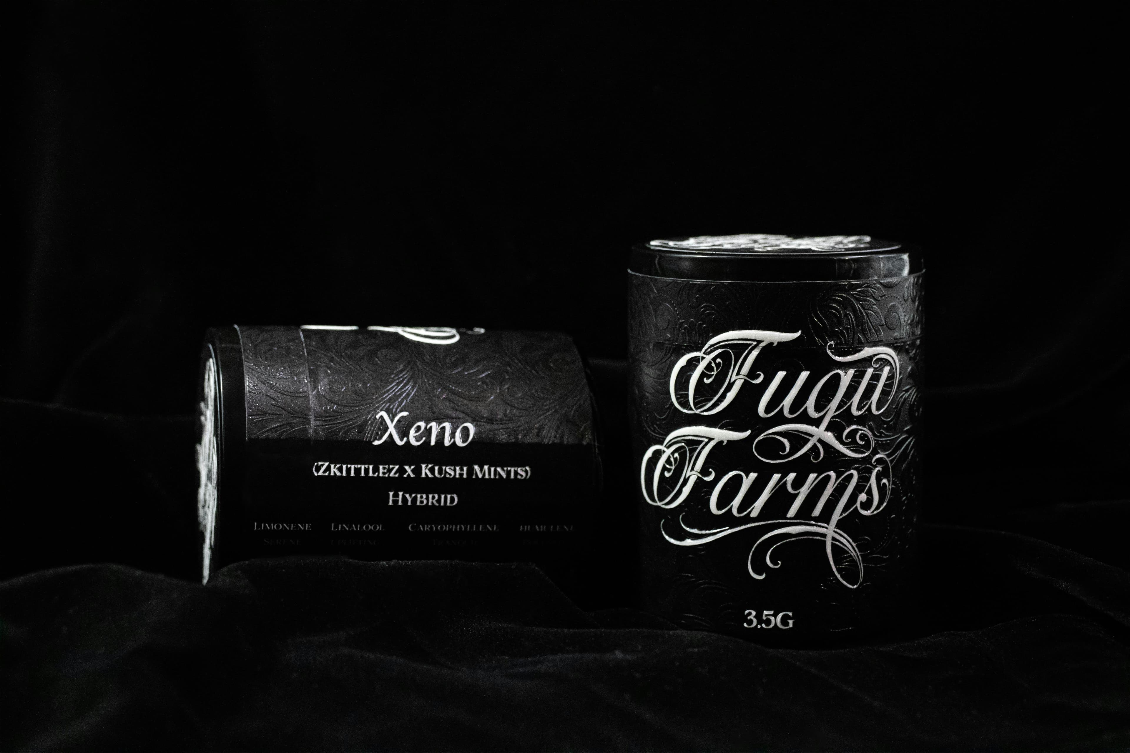 Fugu Xeno Indoor Flower Hybrid