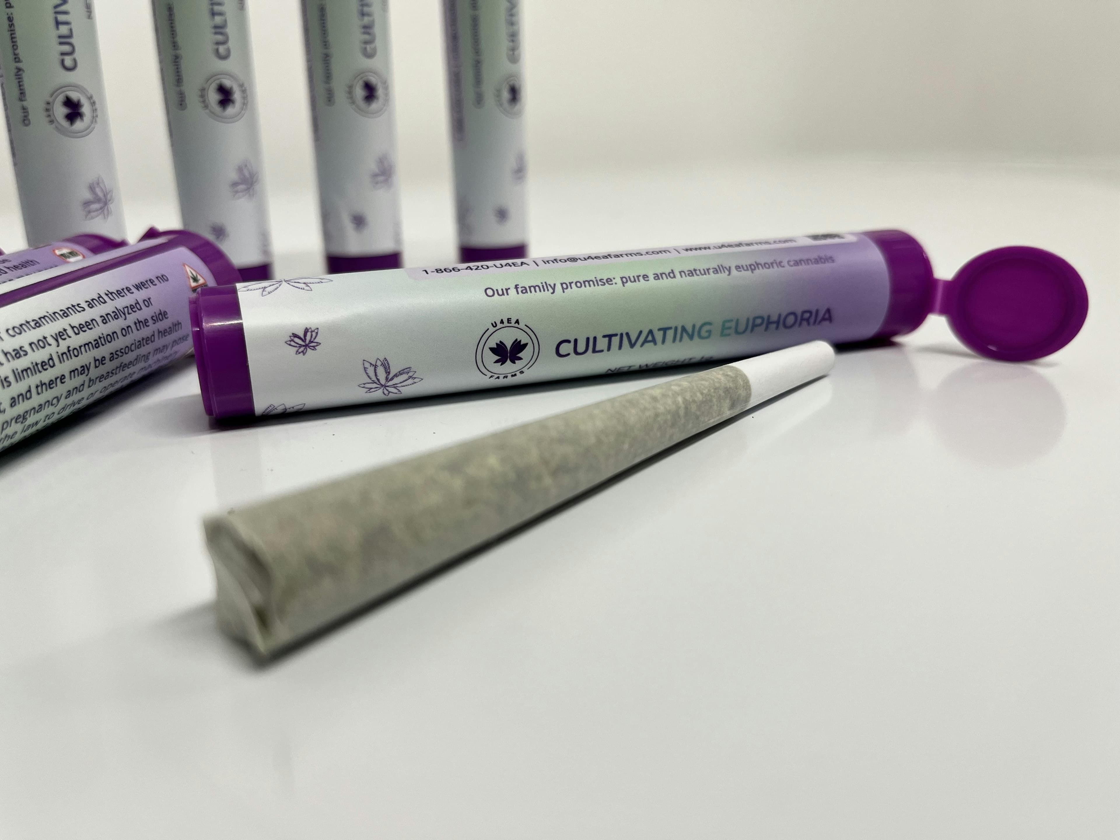Zoap Pre Roll