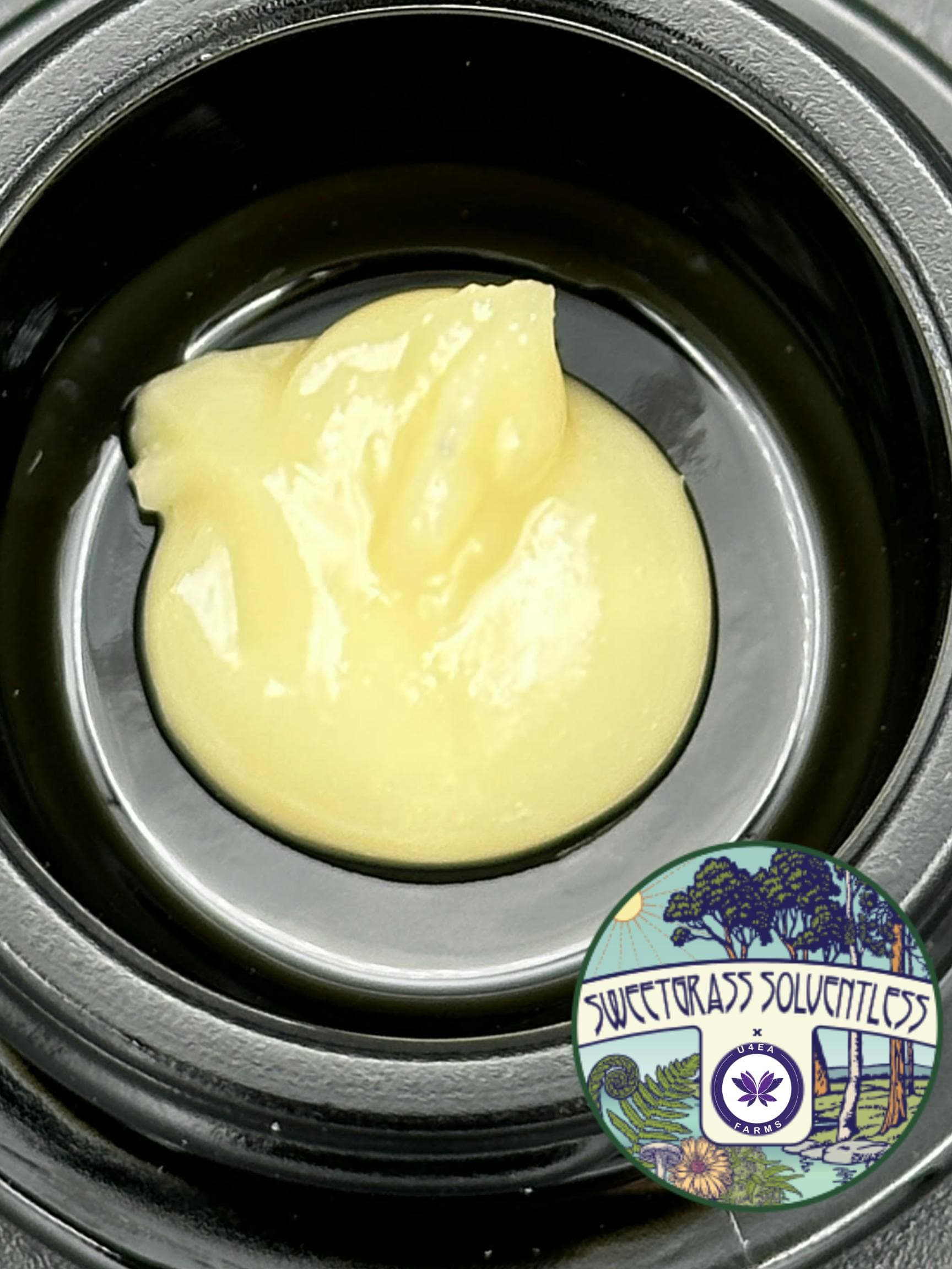 Cold Cured Live Hash Rosin