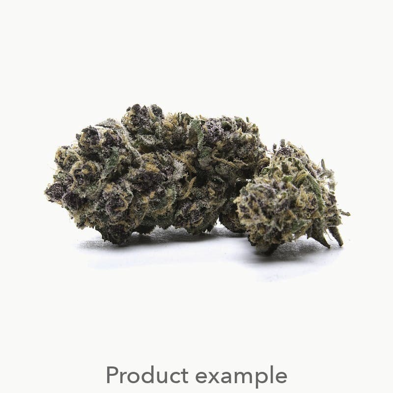 Purple Punch