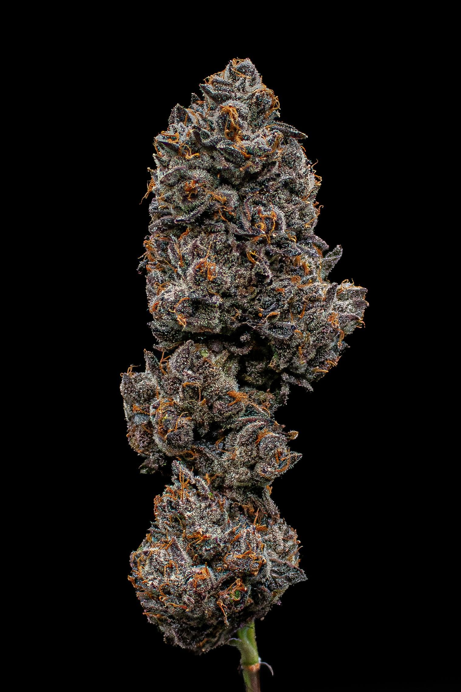 Lemon Dior Fresh Big Buds