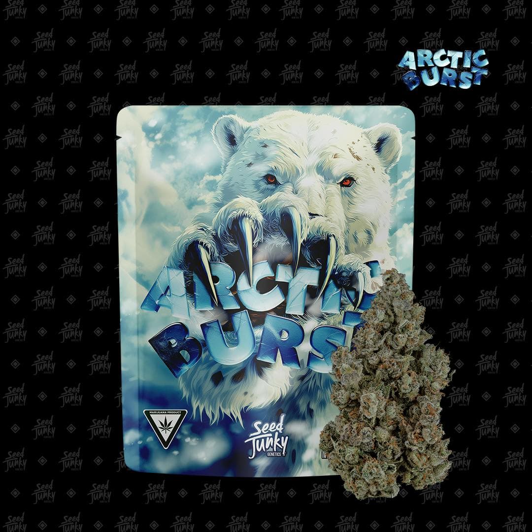 Arctic Burst