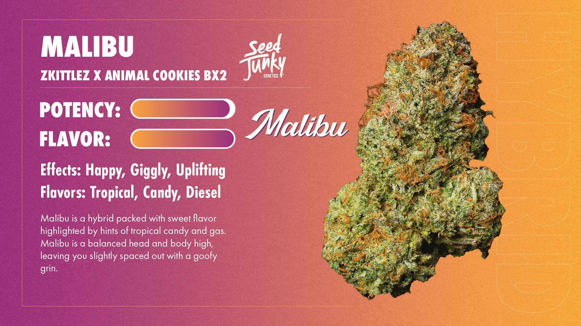 Malibu Big Buds