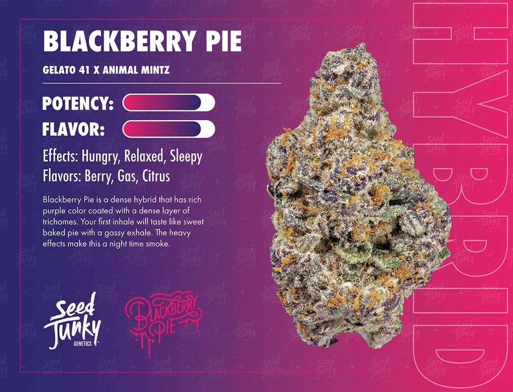 Blackberry Pie