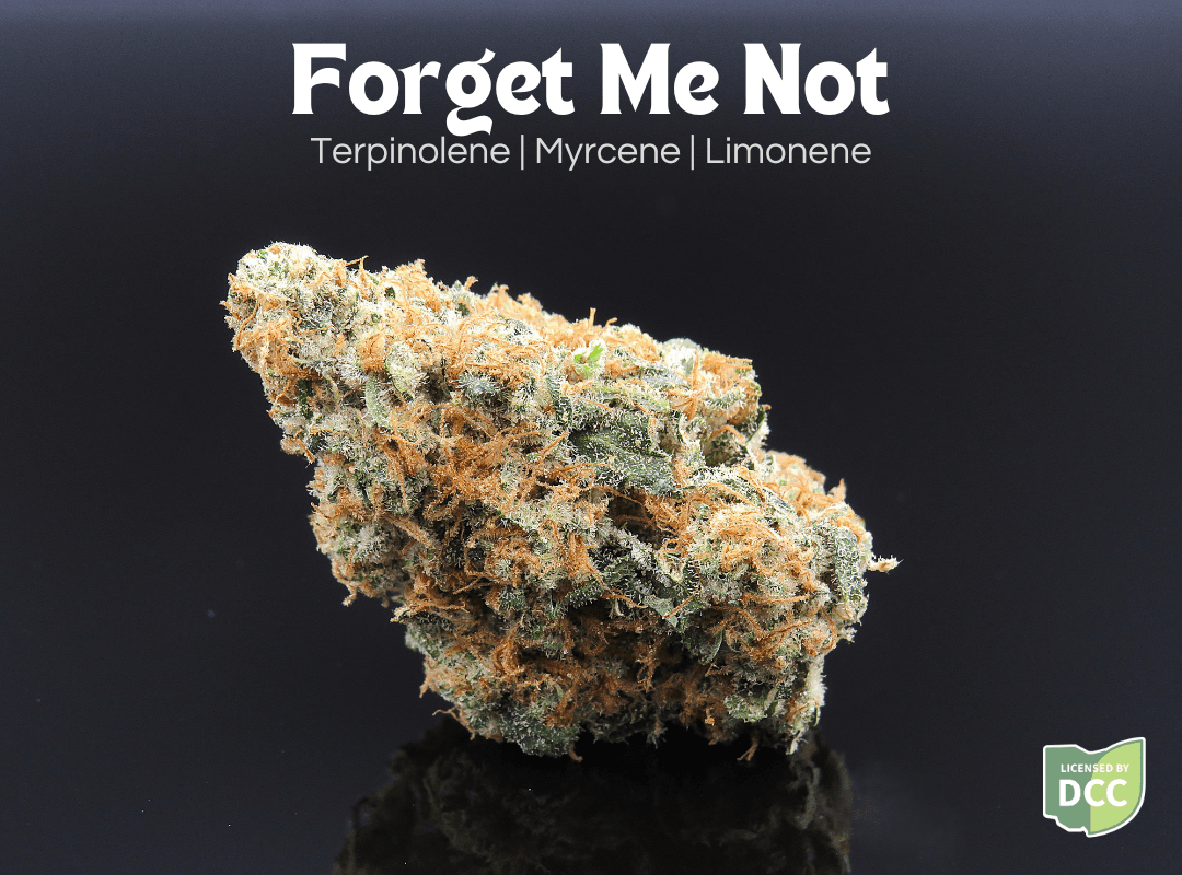 Forget Me Not 14.15g (Hybrid)