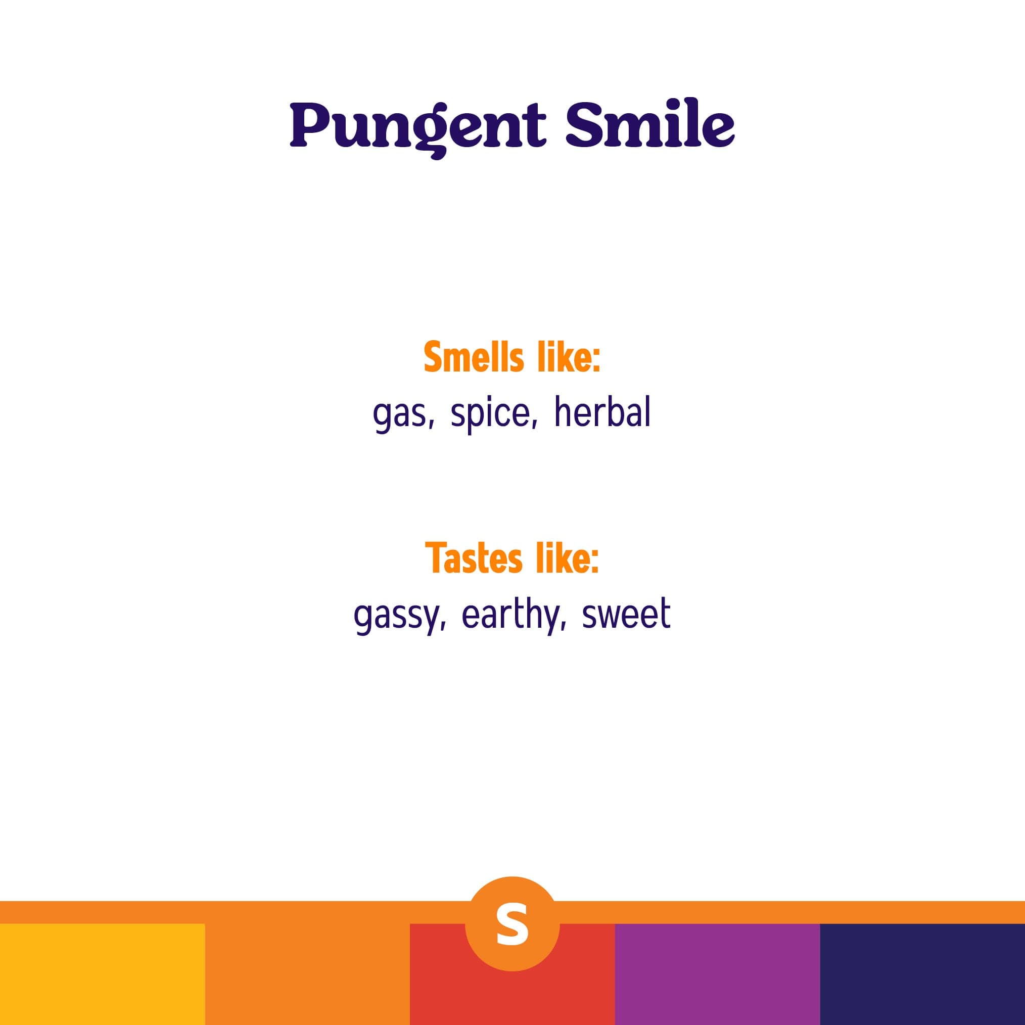 Pungent Smile Flower - 1251927