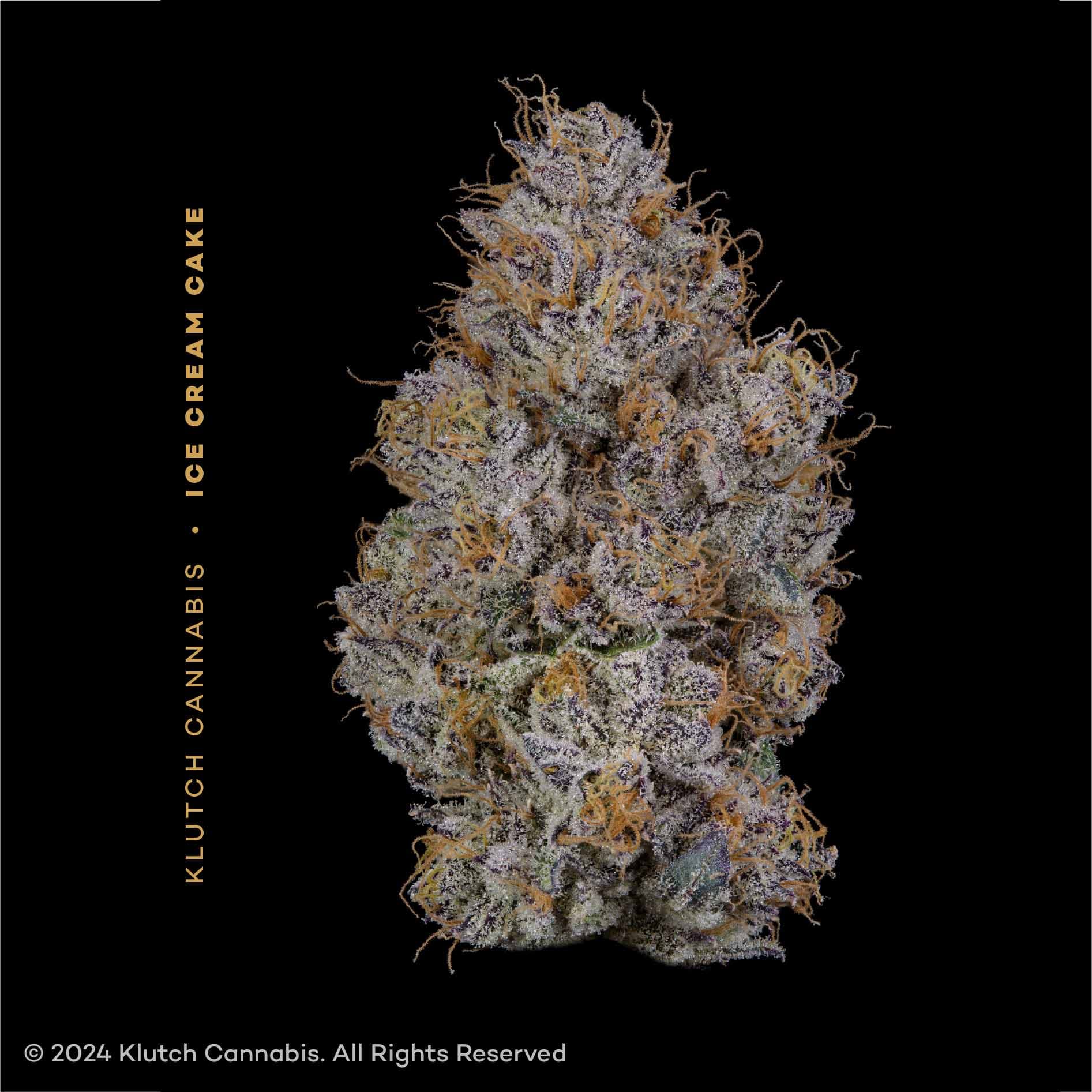 Ice Cream Cake - 2.83g - Indica