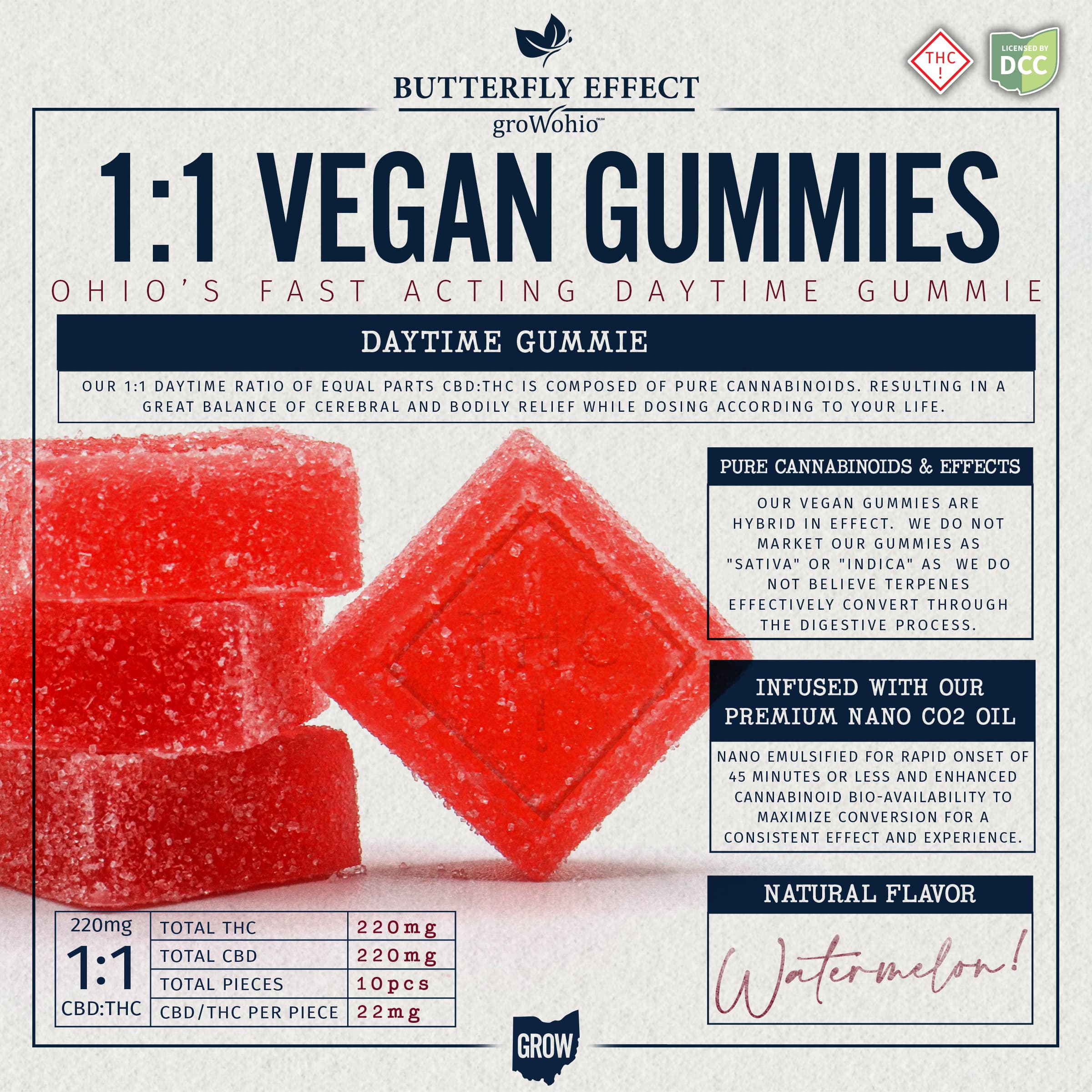 1:1 Watermelon Gummies