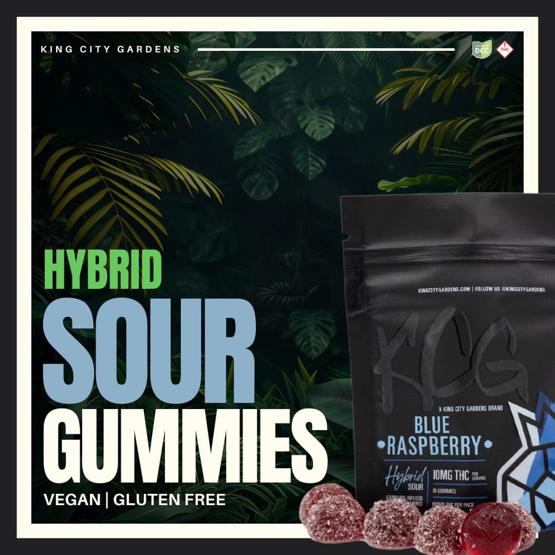 Sour Blue Raspberry Gummies 10-pack | 100mg