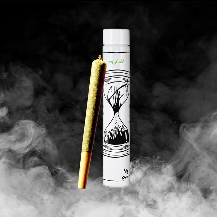 Apps and Bnns Pre Roll