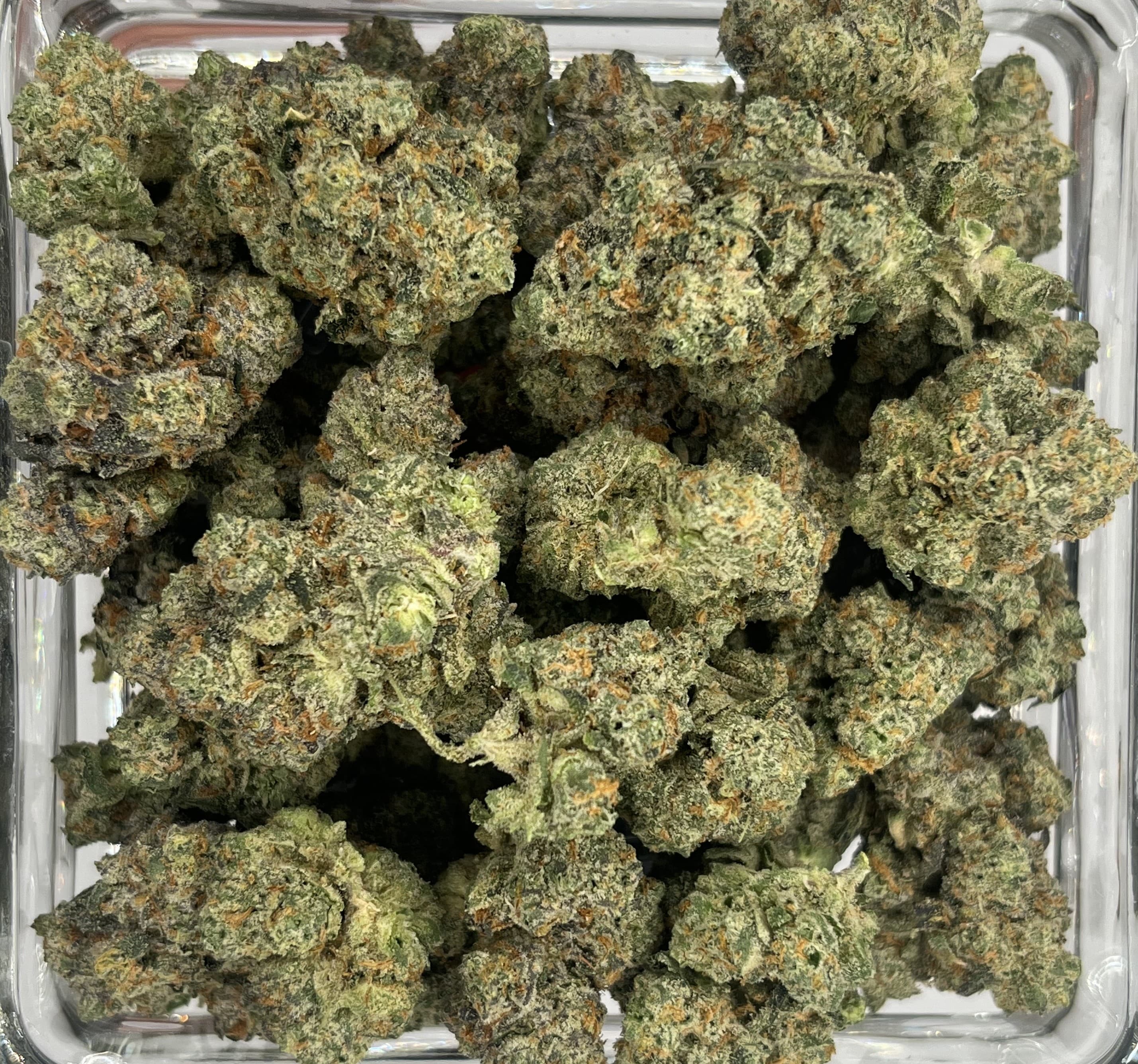 Flower Black Cherry Gelato